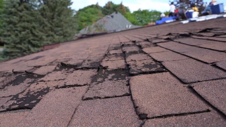 Best Roof Ventilation Installation  in Aptos Hills Larkin Valley, CA