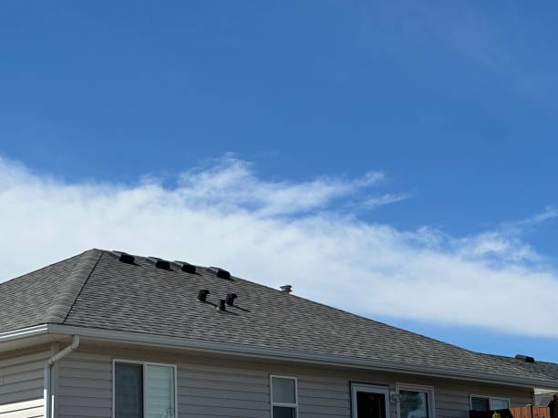 Steel Roofing in Aptos Hills Larkin Valley, CA